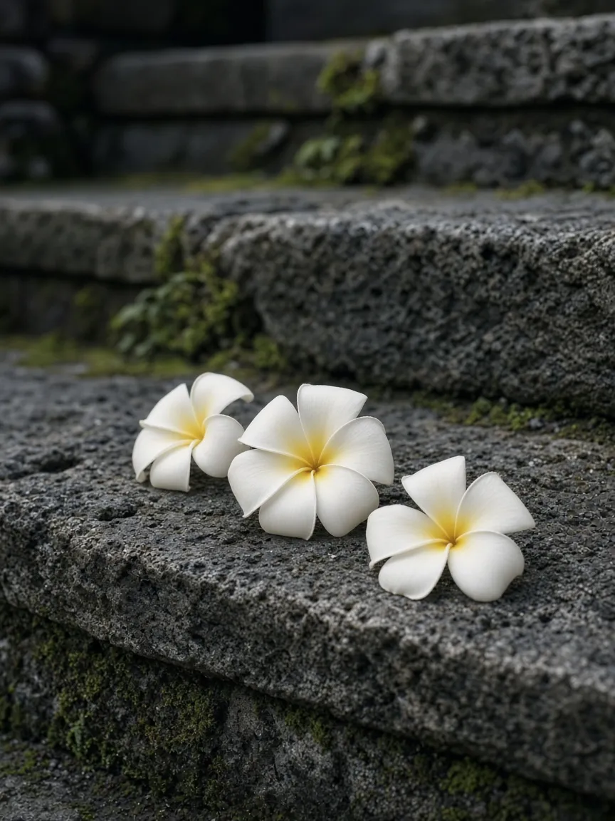 White frangipani on volcanic stone steps